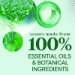 Toilet Bowl Cleaner, Fresh Mint Scent, 24 oz Bottle, 4/Carto