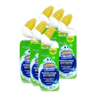 Power Stain Destroyer Toilet Bowl Disinfectant, Rainshower S
