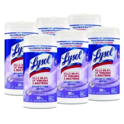 Disinfecting Wipes, 1-Ply, 7 x 7.25, Early Morning Breeze, W