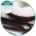 Ourfreshe Refills, Coconut Vanilla, 6/box