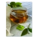 Green Tea K-Cup Pack, 24/box, 4 Box/carton