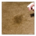 Professional Carpet Stain Remover Plus Deodorizer, Lemon Sce