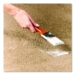 Professional Carpet Stain Remover Plus Deodorizer, Lemon Sce
