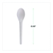 Plantware Compostable Cutlery, Spoon, Plastic, White, 1,000/