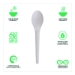 Plantware Compostable Cutlery, Spoon, Plastic, White, 1,000/