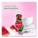 Dishwashing Liquid, Watermelon Scent, 20 oz Bottle, 9/Carton
