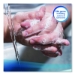 Antimicrobial Foam Skin Cleanser Refill, Fresh Scent, 1 L, 6