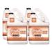 Pro Odor Control, Lemongrass Eucalyptus, 1 gal Bottle, 4/Car