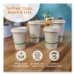 No Tree Paper Bowls, 32 oz, 4.4" Diameter x 5.8" h, Natural,