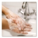 Antibacterial Liquid Hand Soap, Spring Water Scent, 1 gal, 4