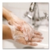Antibacterial Foaming Hand Wash Refill for FIT Touch Free Di