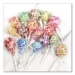 Dum-Dum-Pops, Assorted Flavors, Individually Wrapped, 300/pa