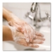 Gold Antibacterial Liquid Hand Soap, 1 gal