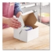 White One-Piece Non-Window Bakery Boxes, 6 x 6 x 4, White, P