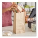 Grocery Paper Bags, 10# Size, Extra-Heavy-Duty, 60# Basis We