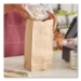 Grocery Paper Bags, 10# Size, Heavy-Duty, 50# Basis Weight,