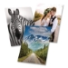 Glossy Photographic Paper Roll, 2" Core, 7 mil, 36" x 100 ft