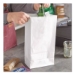 Grocery Paper Bags, 20# Size, 40# Basis Weight, 8.25" x 5.25