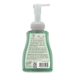 Basics Hypoallergenic Foaming Hand Wash, Aquatic, 10 oz, 8/C
