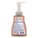 Original Antibacterial Defense Foaming Hand Wash, Original,