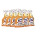 Kitchen Pro Antibacterial Cleaner, 22 oz Spray Bottle, 9/Car
