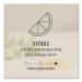 CirculAir 90 Passive Air Care Refill, Citrus, 1.62 oz, 6/Car