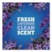 CloroxPro Multi-Surface Cleaner Concentrated, Lavender Clean