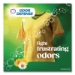 Liquid Laundry Detergent, Gain Original Scent, 81 oz Pour Bo