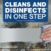Disinfecting All-Purpose Spray And Glass Cleaner, Fresh Scen