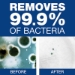 Antibacterial Liquid Hand Soap, Light Scent, 1 gal, 2/Carton