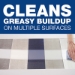 Disinfecting All-Purpose Spray And Glass Cleaner, Fresh Scen