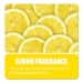 Enzym D Digester Liquid Deodorant, Lemon, 1 Gal Bottle, 4/ca