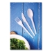 White CPLA Cutlery, General Purpose Spoon, Plastic, 1,000/Ca