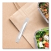 Regal Mediumweight Cutlery, Individually Wrapped, Knife, Pla