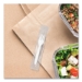 Regal Mediumweight Cutlery, Individually Wrapped, Fork, Plas