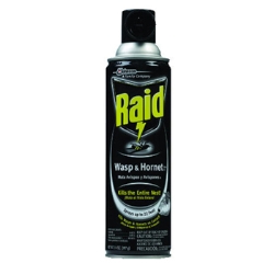 Raid Wasp and Hornet