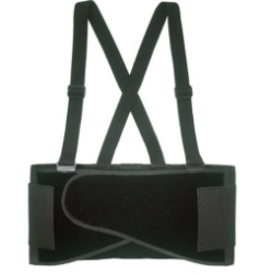 Back Support