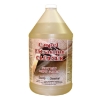 Carpet Extraction Cleaner