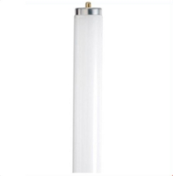 Fluorescent Tube 4 ft T8 Daylight