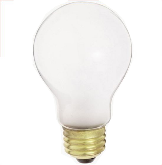 Incandescent A19 Bulb Frosted
