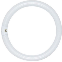 Circline Fluorescent - 22 watt - T9