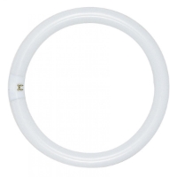 Circline Fluorescent - 22 watt