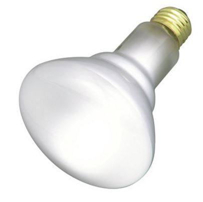 BR30 Incandescent - Frosted