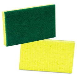 Sponge - Scrubbing