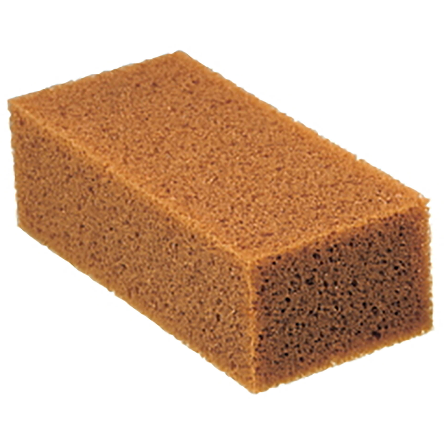 Sponges